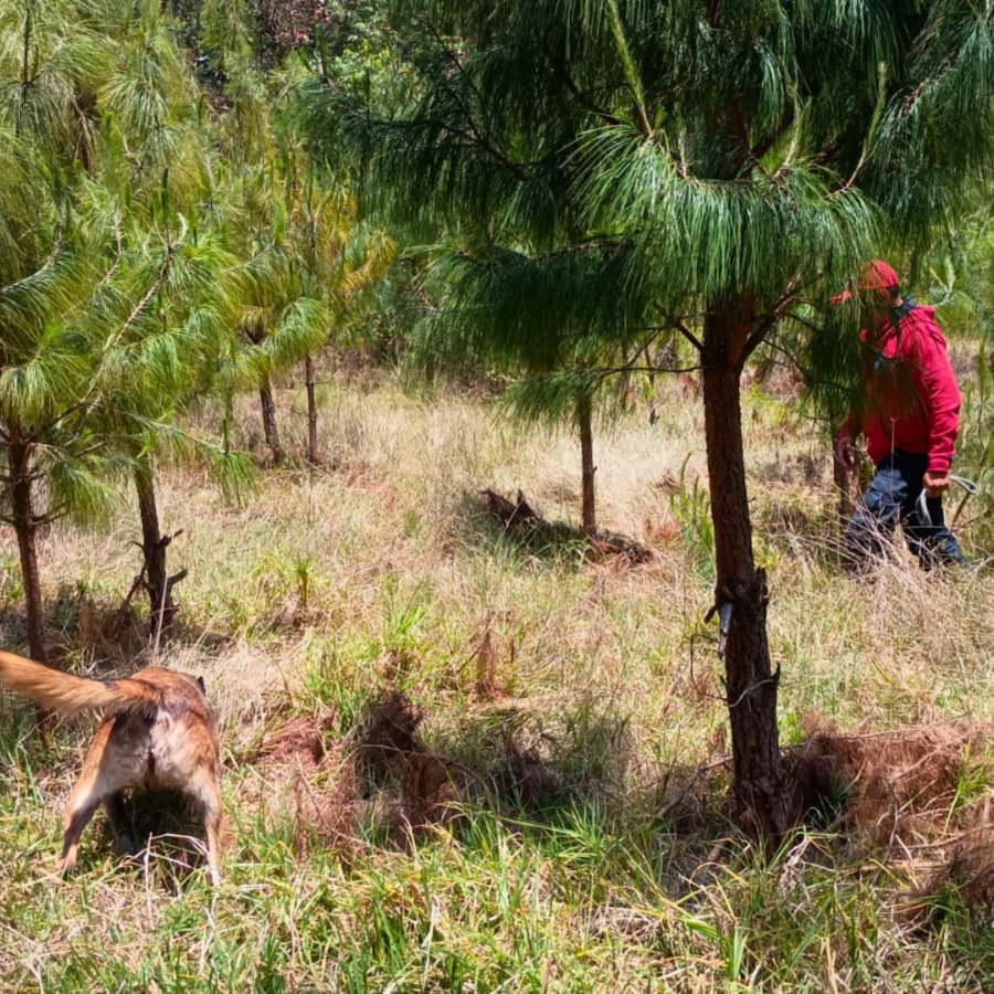 Como parte de nuestro trabajo realizamos Acciones de B&uacute;squeda de Personas Desaparecidas en el Municipio de Zacatl&aacute;n, en coordinaci&oacute;n con autoridades Federales, Estatales, Municipales y familiares