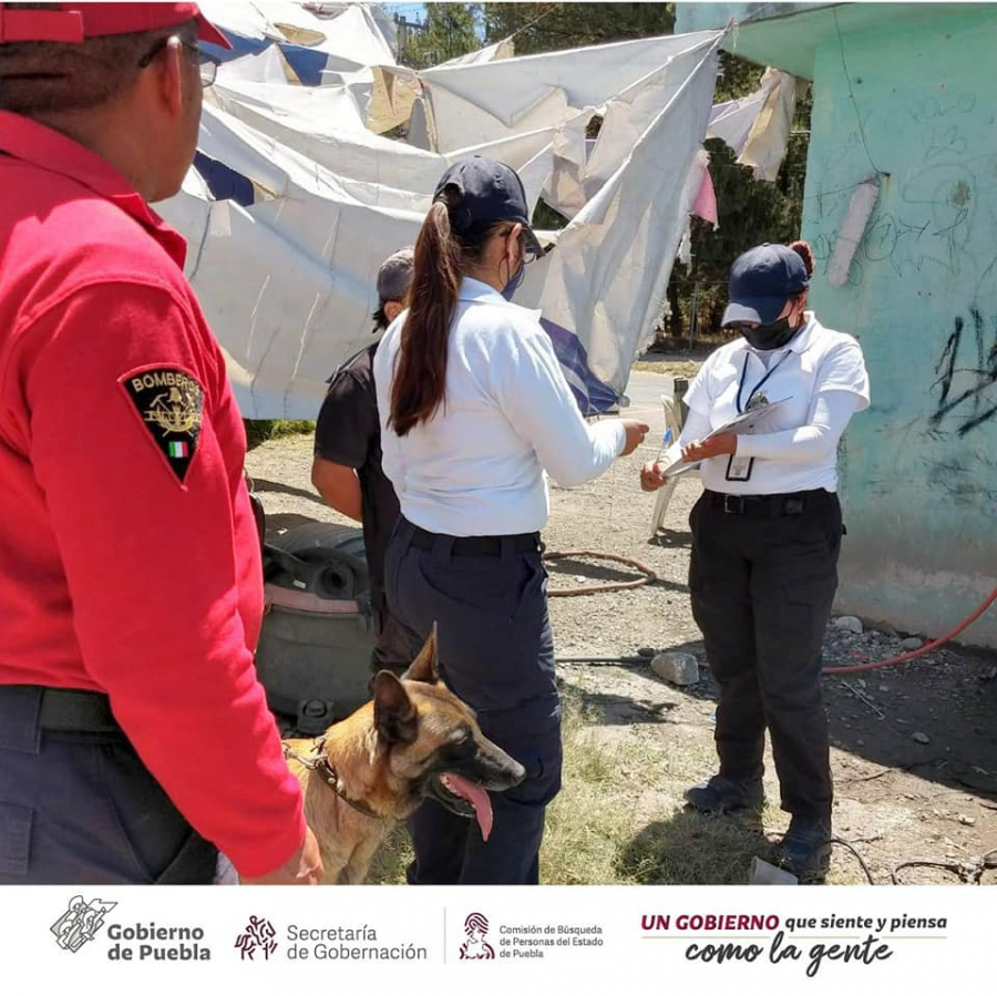 Como parte de nuestra labor y en coordinación con GN, SSP, SSCP realizamos Acciones de Búsqueda de Personas Desaparecidas en las juntas auxiliares Santa María Xonacatepec y San Miguel Espejo de la Ciudad de Puebla.