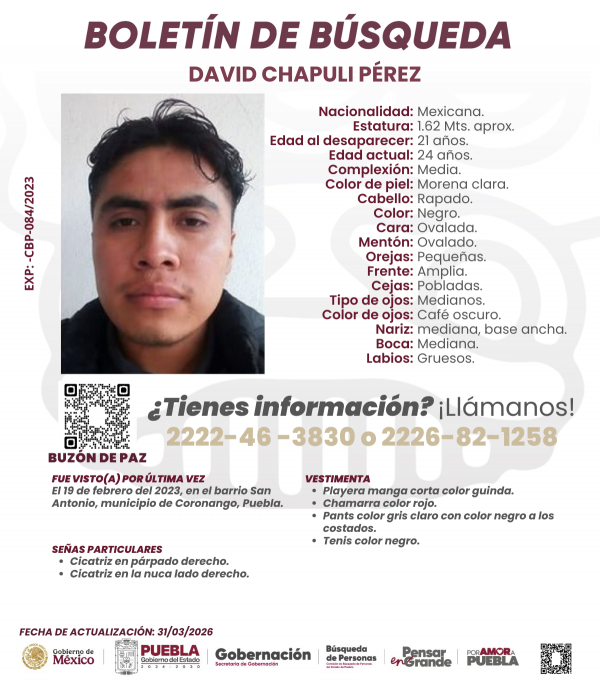 ACTUALIZACI&Oacute;N - David Chapuli P&eacute;rez
