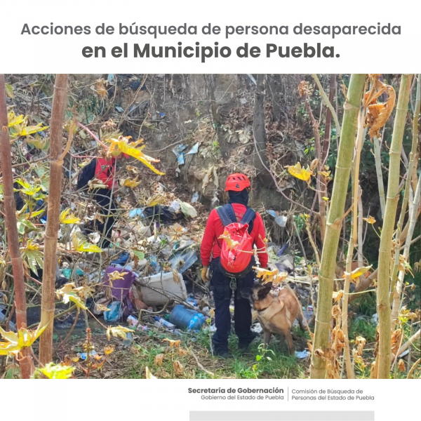 Como parte de nuestro trabajo realizamos Acciones de Búsqueda de Personas Desaparecidas en el Municipio de Puebla, en coordinación con autoridades Federales, Estatales, Municipales y familiares