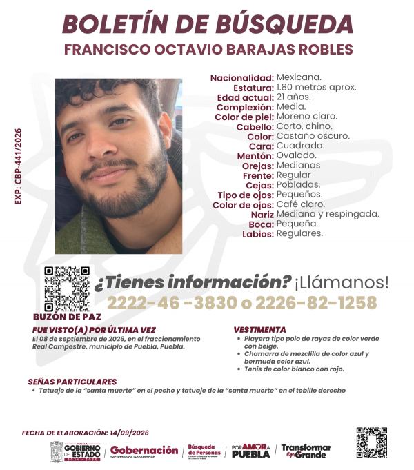 Francisco Octavio Barajas Robles