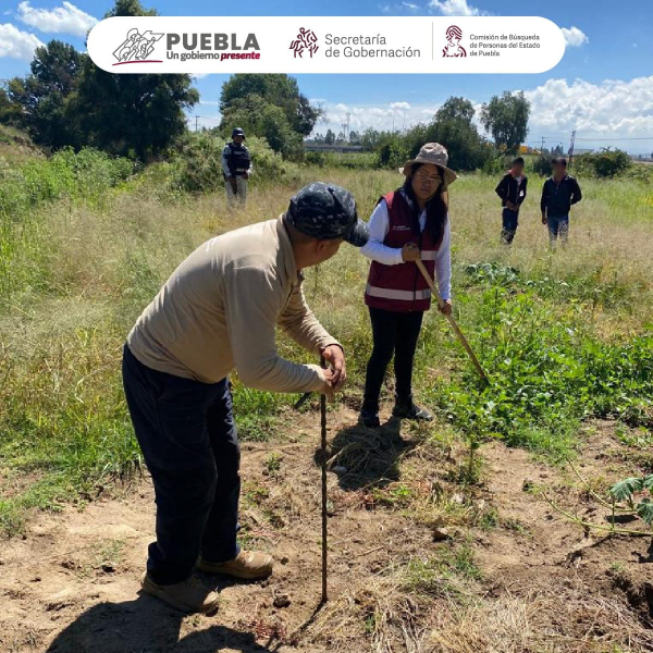 Como parte de nuestro trabajo realizamos Acciones de Búsqueda de Personas Desaparecidas en el municipio de San Martín Texmelucan en coordinación con Guardia Nacional, autoridades locales y familiares de víctimas.