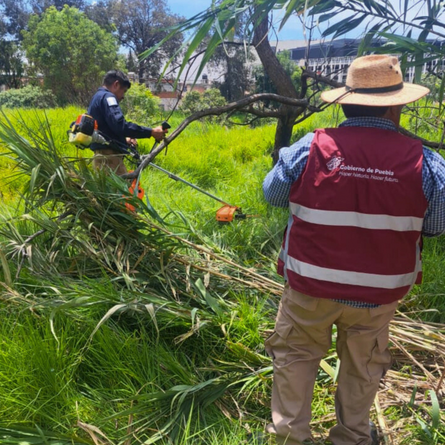 Como parte de nuestro trabajo realizamos Acciones de Búsqueda de Personas Desaparecidas en el Municipio de Puebla, en coordinación con autoridades Federales, Estatales, Municipales y familiares