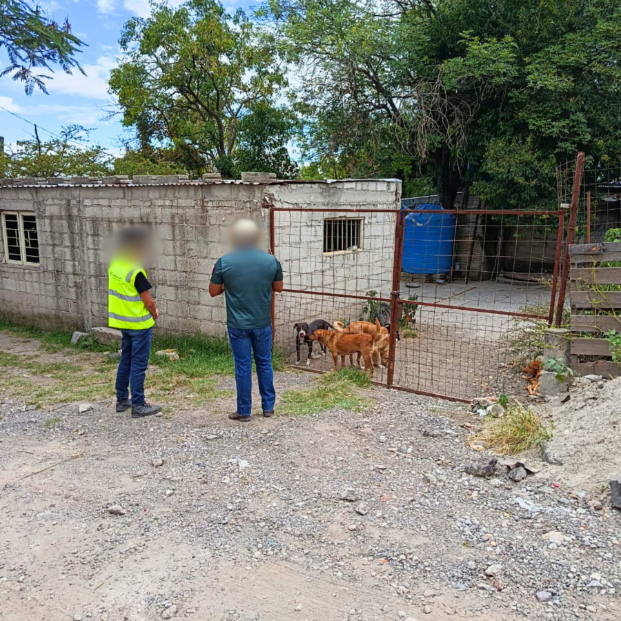 Como parte de nuestro trabajo realizamos Acciones de B&uacute;squeda de Personas Desaparecidas en el Municipio de Puebla, en coordinaci&oacute;n con autoridades Federales, Estatales, Municipales y familiares