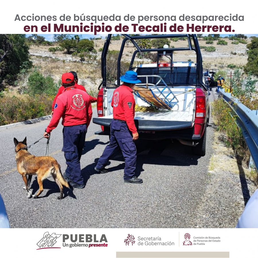 Como parte de nuestro trabajo realizamos Acciones de Búsqueda de Personas Desaparecidas en el municipio de Tecali de Herrera, en coordinación con autoridades Estatales, locales y familiares.