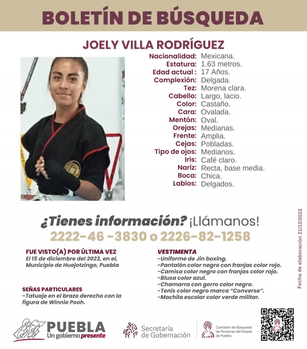 Joely Villa Rodríguez