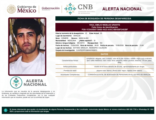 RAUL EMILIO NIEBLAS URIARTE
