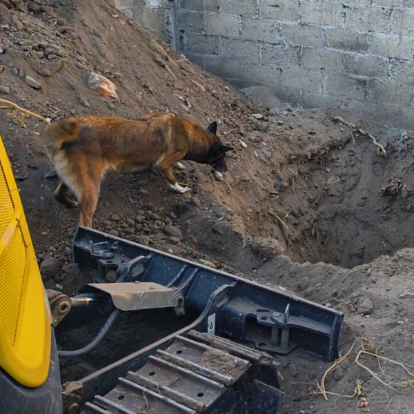 Como parte de nuestro trabajo realizamos Acciones de B&uacute;squeda de Personas Desaparecidas en el Municipio de Puebla, en coordinaci&oacute;n con autoridades Federales, Estatales, Municipales y familiares