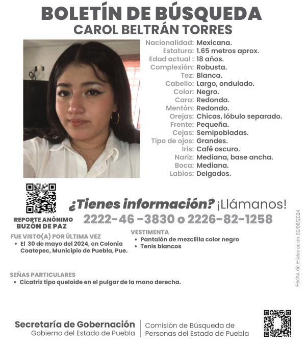 Carol Beltrán Torres