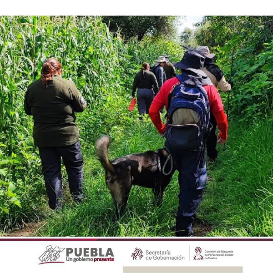 Como parte de nuestro trabajo continuamos realizando Acciones de Búsqueda de Personas Desaparecidas en el municipio de Huejotzingo en coordinación con Guardia Nacional, Fiscalía General del Estado de Puebla, Secretaría de Seguridad Pública.