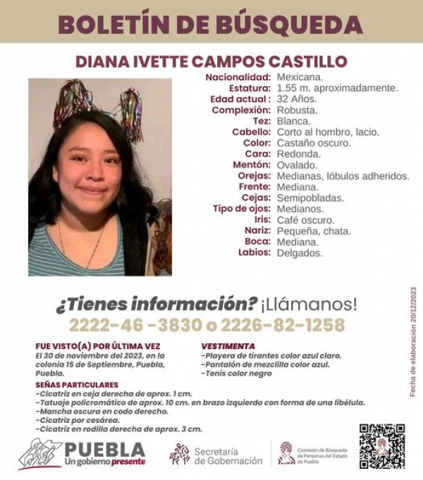 Diana Ivette Campos Castillo