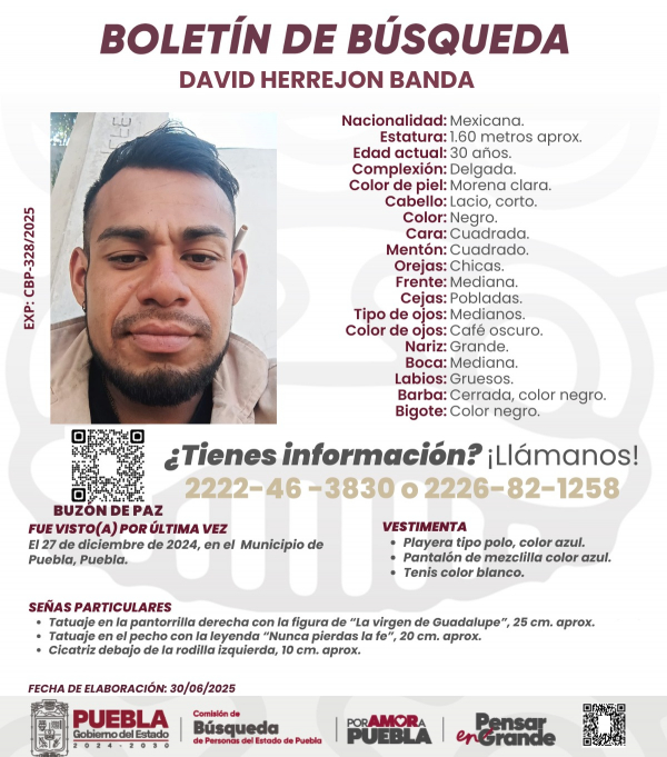 David Herrejon Banda