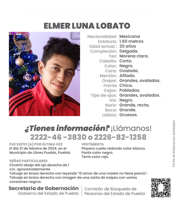 Elmer Luna Lobato