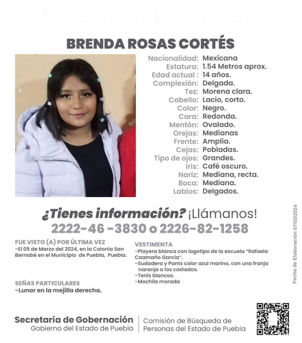 Brenda Rosas Cortés