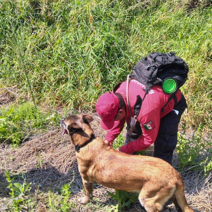 Como parte de nuestro trabajo realizamos Acciones de B&uacute;squeda de Personas Desaparecidas en el Municipio de Atlixco, en coordinaci&oacute;n con autoridades Federales, Estatales, Municipales y familiares