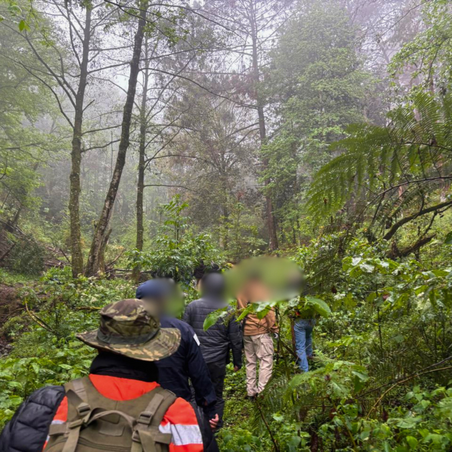 Como parte de nuestro trabajo realizamos Acciones de B&uacute;squeda de Personas Desaparecidas en el Municipio de Huauchinango, en coordinaci&oacute;n con autoridades Federales, Estatales, Municipales y familiares
