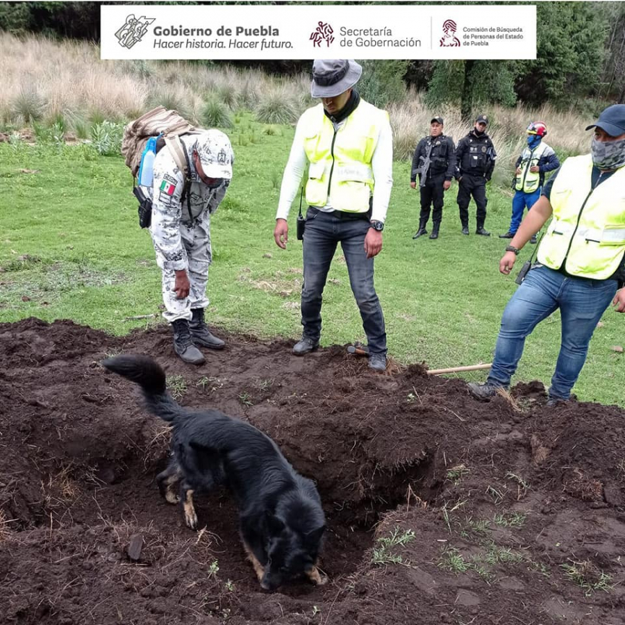 Como parte de nuestro trabajo realizando Acciones de Búsqueda de Personas Desaparecidas en el Ajusco, ciudad de México.