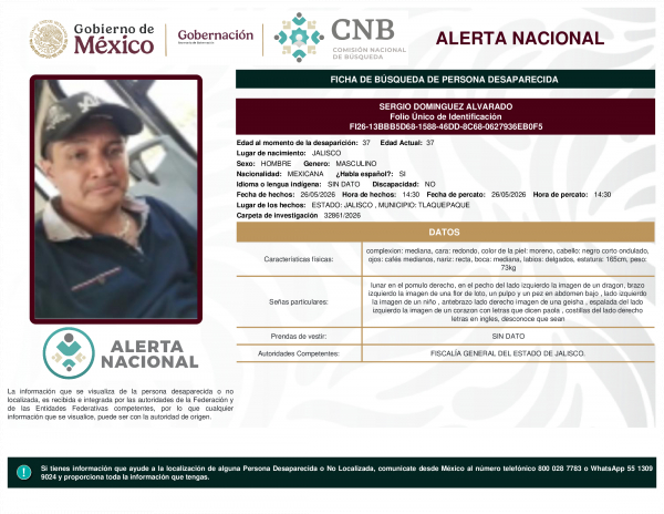 SERGIO DOMINGUEZ ALVARADO