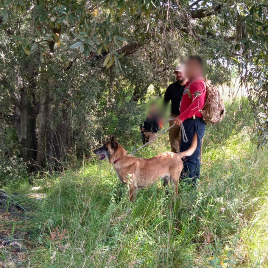 Como parte de nuestro trabajo realizamos Acciones de Búsqueda de Personas Desaparecidas en el Municipio de Coronango, en coordinación con autoridades Federales, Estatales, Municipales y familiares