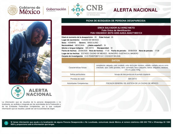ERICK SALVADOR ALVAREZ NIETO