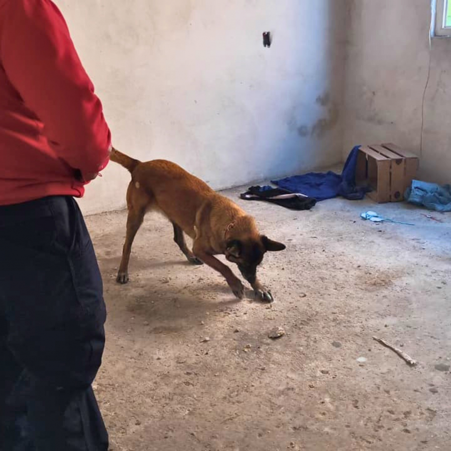 Como parte de nuestro trabajo realizamos Acciones de B&uacute;squeda de Personas Desaparecidas en el Municipio de San Mart&iacute;n Texmelucan, en coordinaci&oacute;n con autoridades Federales, Estatales, Municipales y familiares