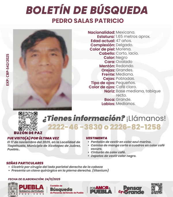 Pedro Salas Patricio