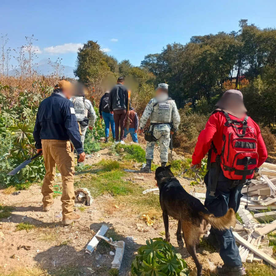 Como parte de nuestro trabajo realizamos Acciones de B&uacute;squeda de Personas Desaparecidas en el Municipio de Puebla, en coordinaci&oacute;n con autoridades Federales, Estatales, Municipales y familiares