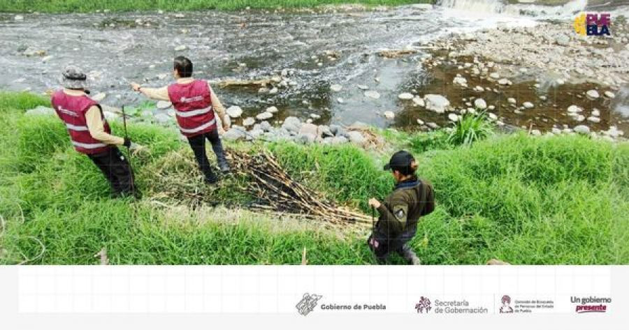 Como parte de nuestra labor realizamos Acciones de Búsqueda de Personas Desaparecidas en el municipio de IzúcardeMatamoros en coordinación con Fiscalía General del Estado de Puebla, Guardia Nacional y Secretaría de Seguridad Pública.